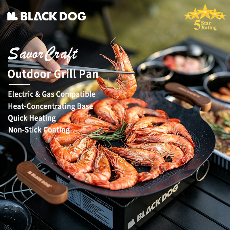 Induction Cooktop Portable - BLACKDOG Non-Stick BBQ Grill Pan, Korean