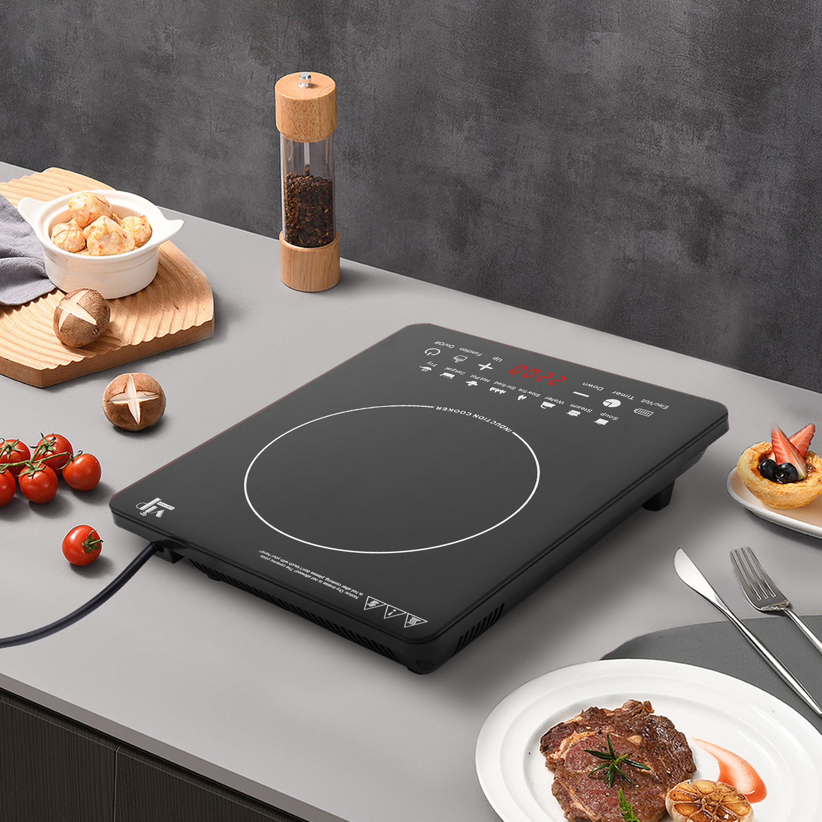 Electric Induction Cooker, Ind - Induction Cooktop Portable review and price