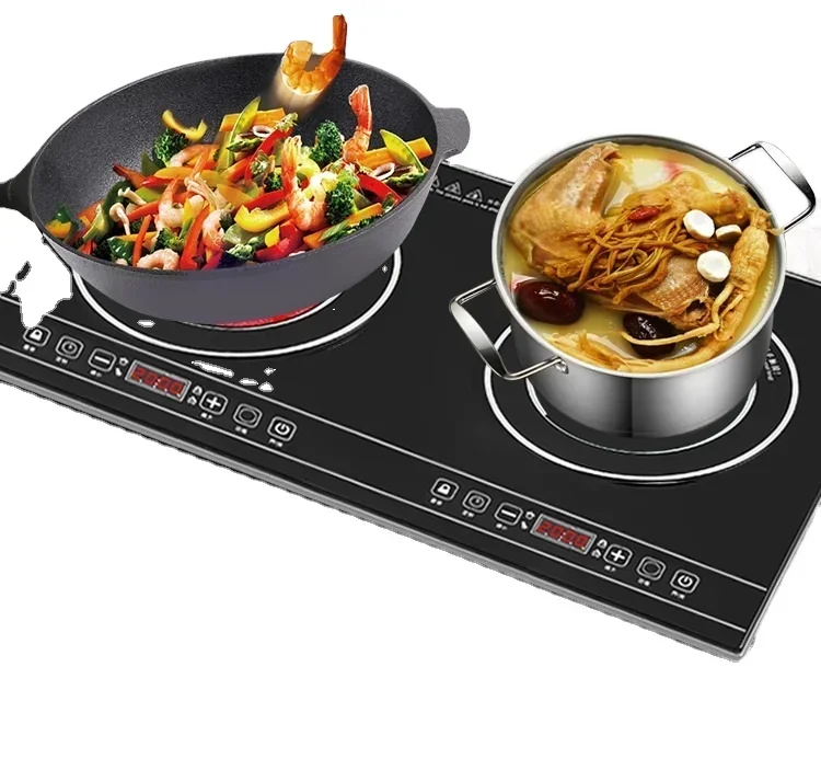 Portable Electric Double Stove - Induction Cooktop Portable review and price