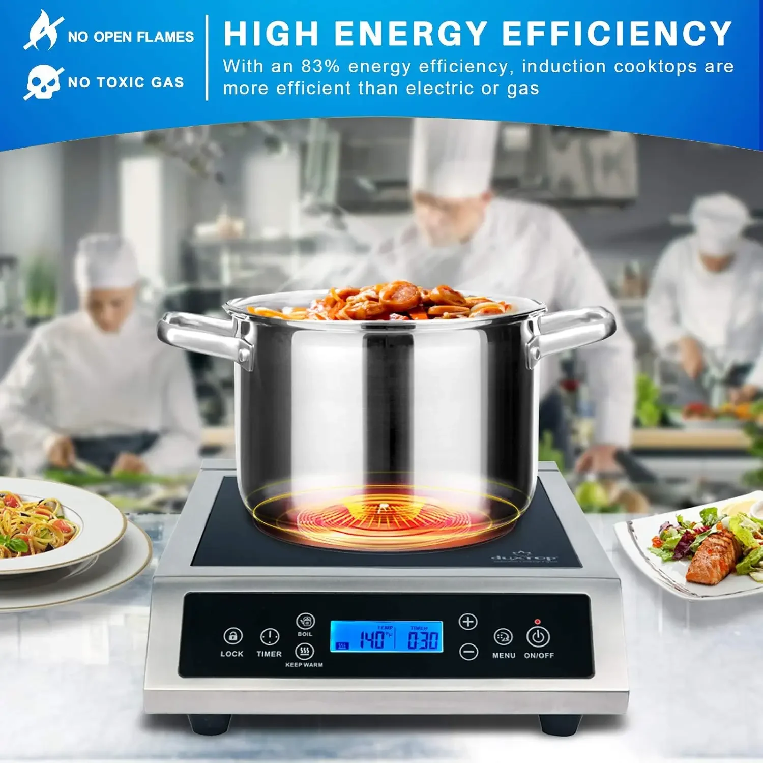 Professional Portable Inductio - Induction Cooktop Portable review and price