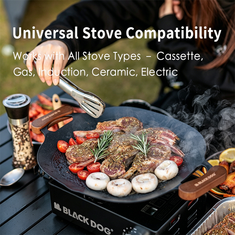 BLACKDOG Non-Stick BBQ Grill P - Induction Cooktop Portable review and price